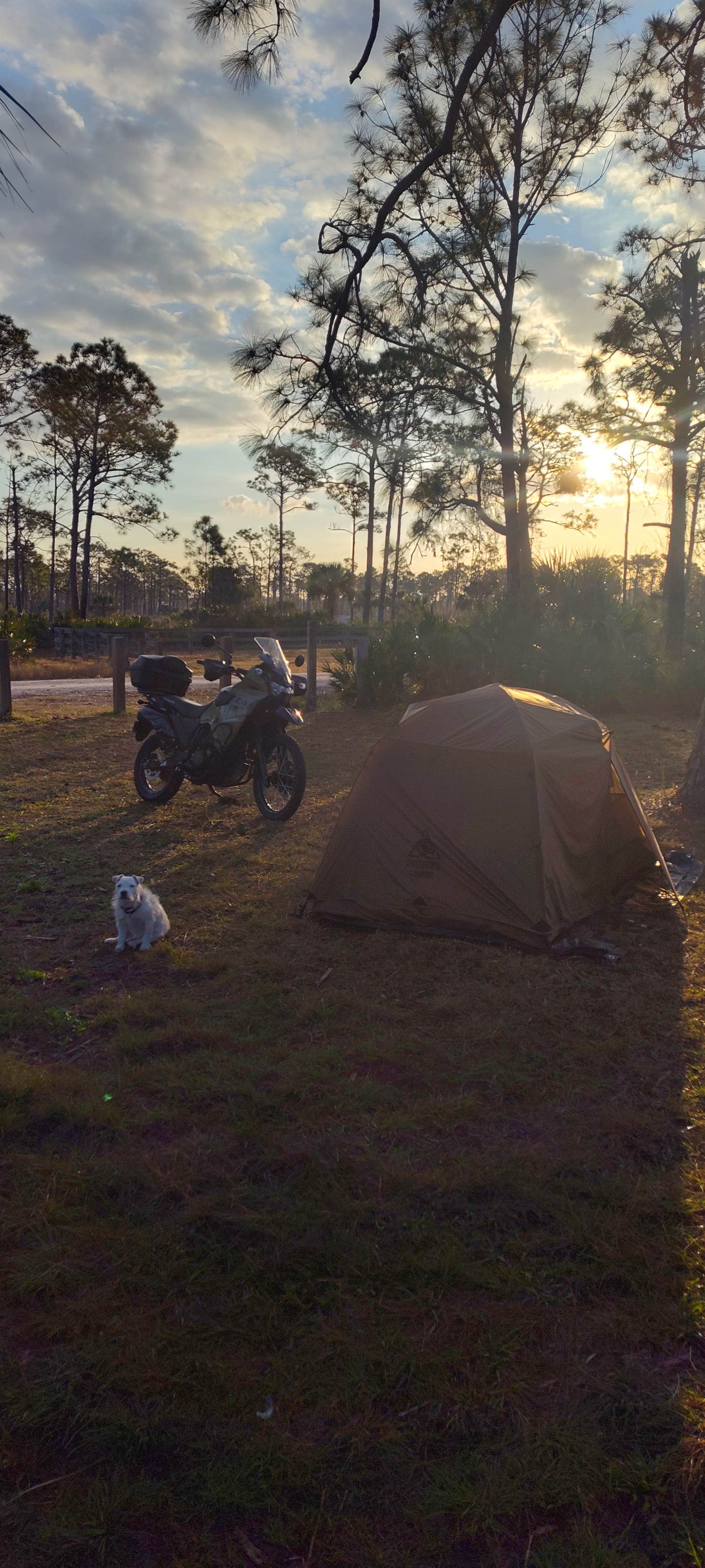 Camper submitted image from Flying A Primitive Campsite - Myakka State Park - 5