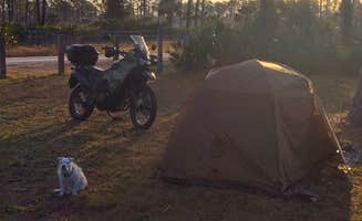 Daniel O.'s photo of camping with pets at Flying A Campground — Myakka State Forest near Nokomis, FL