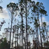 Review photo of Flying A Primitive Campsite - Myakka State Park by Josh M., May 14, 2024