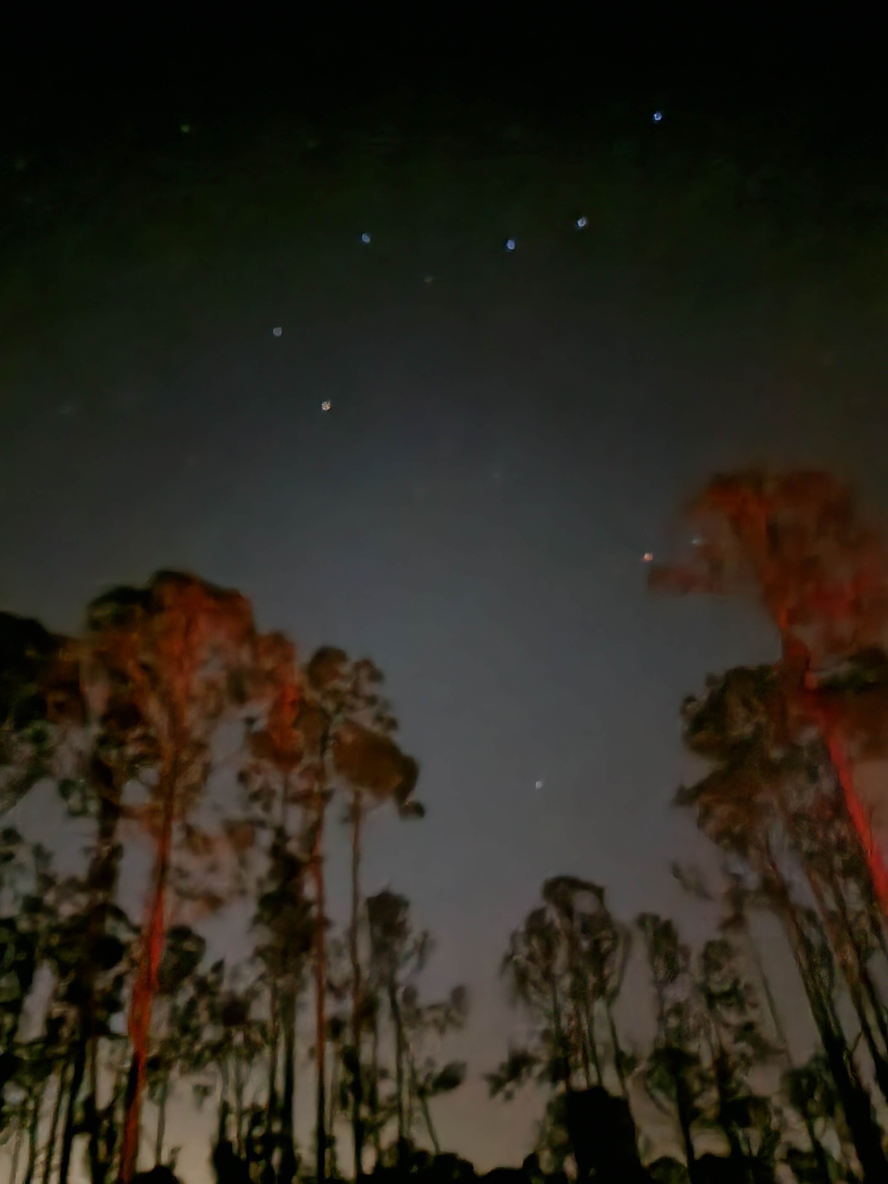 Camper-submitted photo at Flying A Campground — Myakka State Forest near Captiva, FL