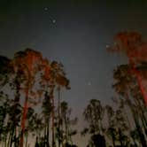 Review photo of Flying A Primitive Campsite - Myakka State Park by Josh M., May 14, 2024