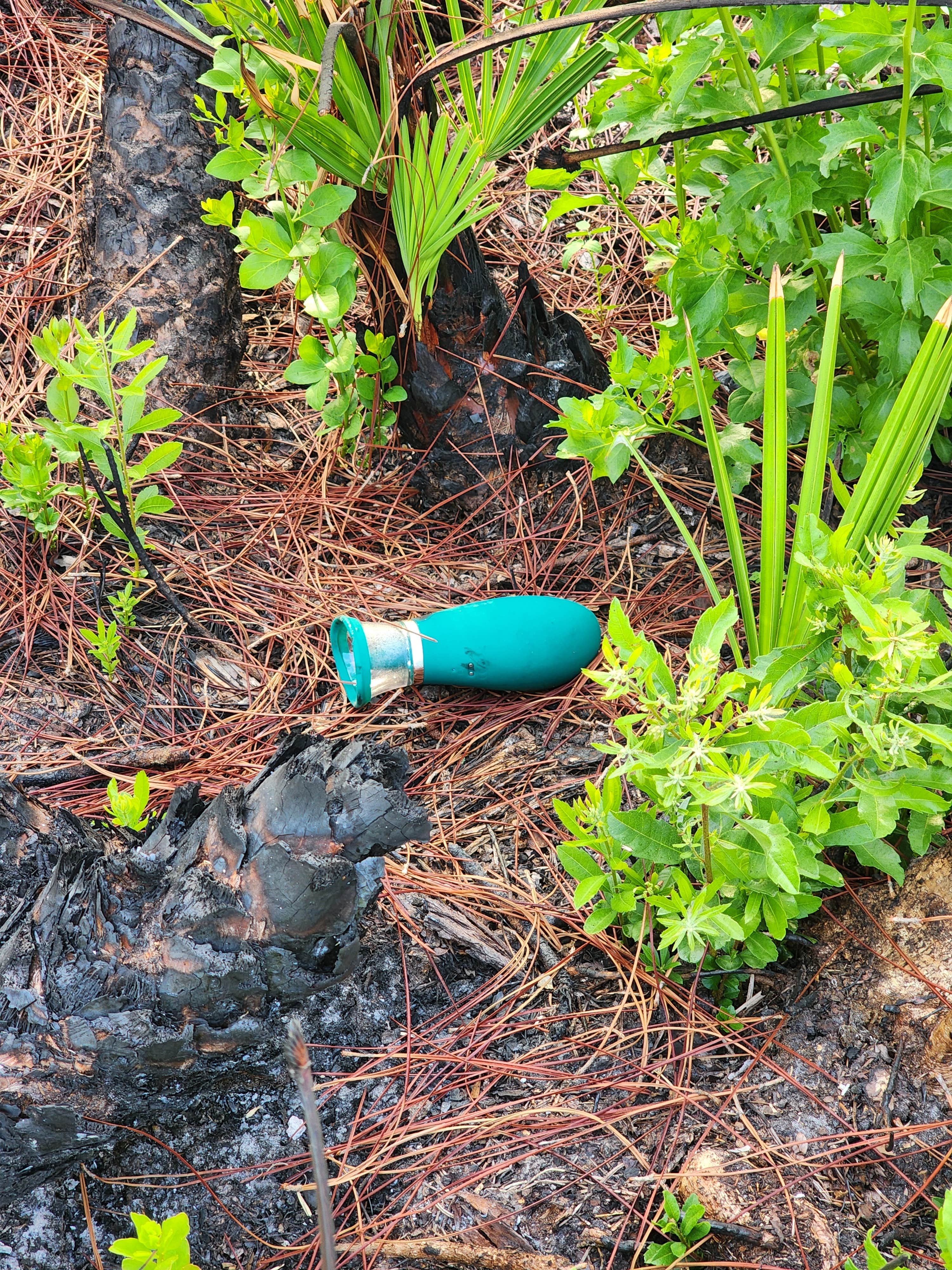 Camper-submitted photo at Flying A Campground — Myakka State Forest near Captiva, FL