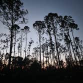 Review photo of Flying A Primitive Campsite - Myakka State Park by Josh M., May 14, 2024