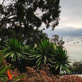 Review photo of Flying Flags Avila Beach by Barbara G., September 22, 2025