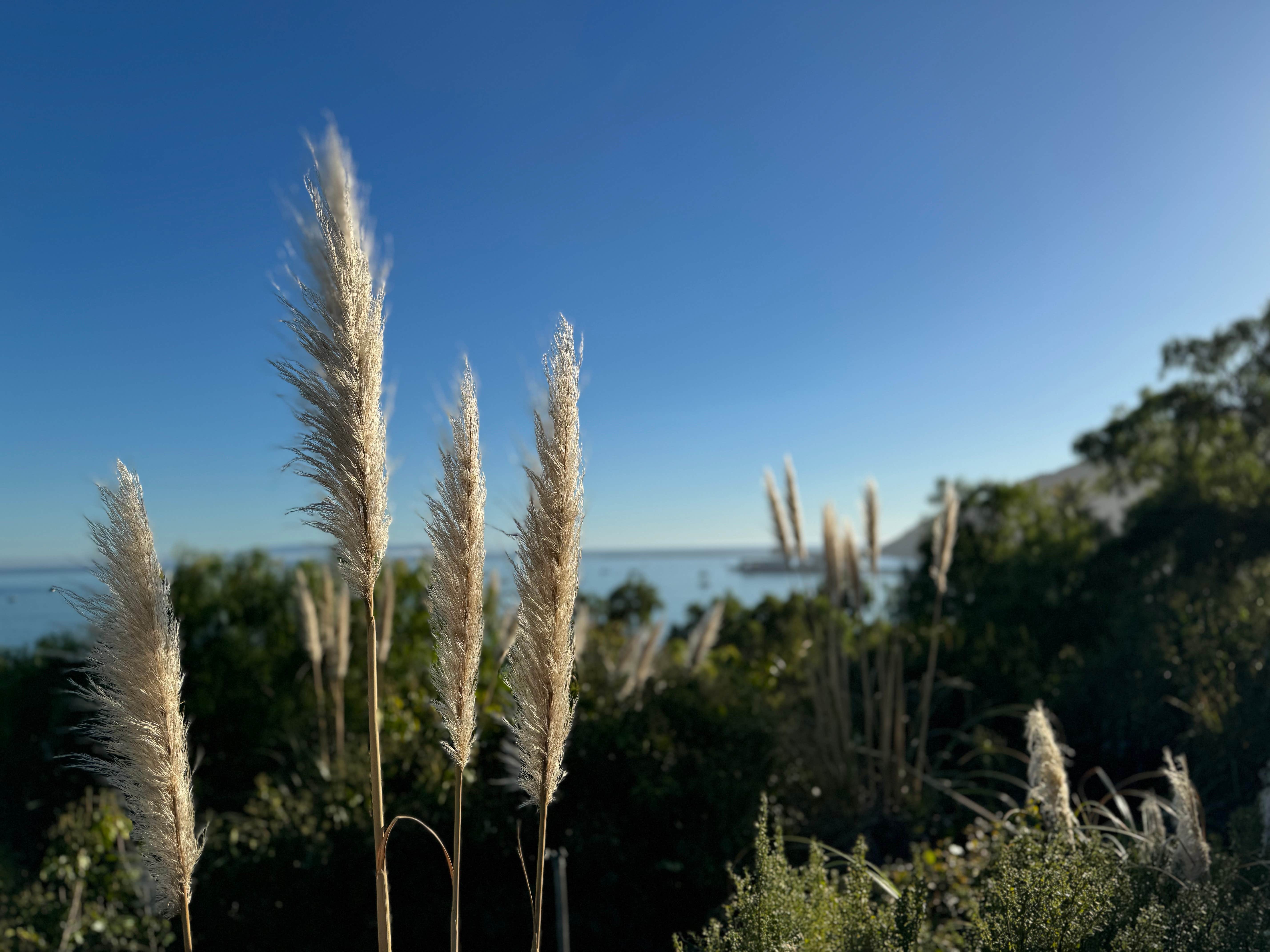 Camper-submitted photo at Flying Flags Avila Beach near Morro Bay, CA