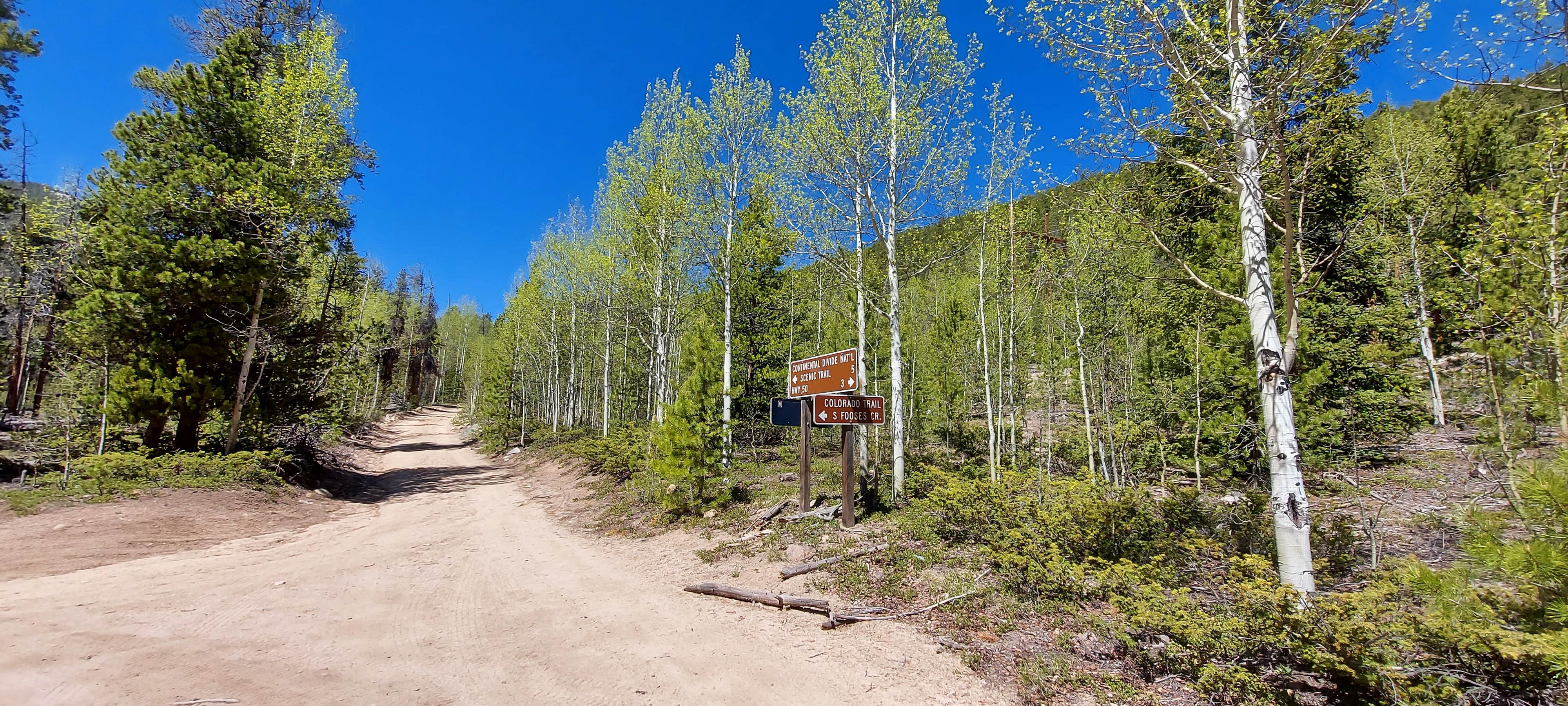 Camper submitted image from Fooses Creek Dispersed Camping - 2