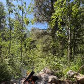 Review photo of Fooses Creek Dispersed Camping by Brookelynn P., June 8, 2026