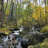 Review photo of Fooses Creek Dispersed Camping by Beverly O., September 29, 2025