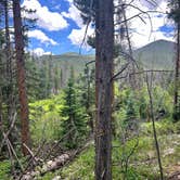 Review photo of Fooses Creek Dispersed Camping by Vanessa P., July 6, 2025