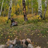 Review photo of Fooses Creek Dispersed Camping by Beverly O., September 29, 2025