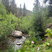 Review photo of Fooses Creek Dispersed Camping by Vanessa P., July 6, 2025