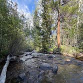 Review photo of Fooses Creek Dispersed Camping by Brookelynn P., June 8, 2026