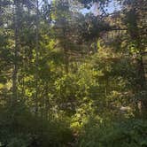 Review photo of Fooses Creek Dispersed Camping by Lindsay R., June 26, 2025