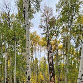 Review photo of Fooses Creek Dispersed Camping by Beverly O., September 29, 2025