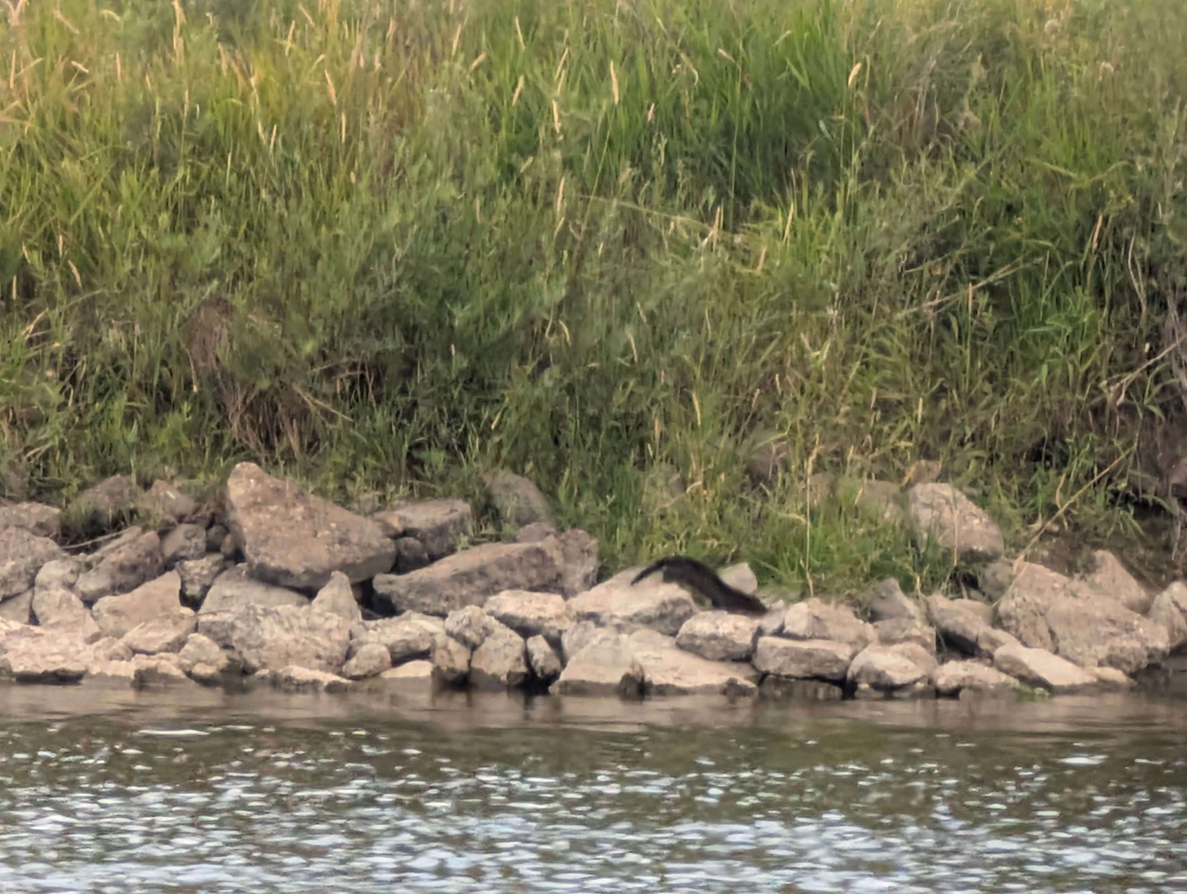 Camper-submitted photo at Foote Public Access Area Dispersed near Centennial, WY