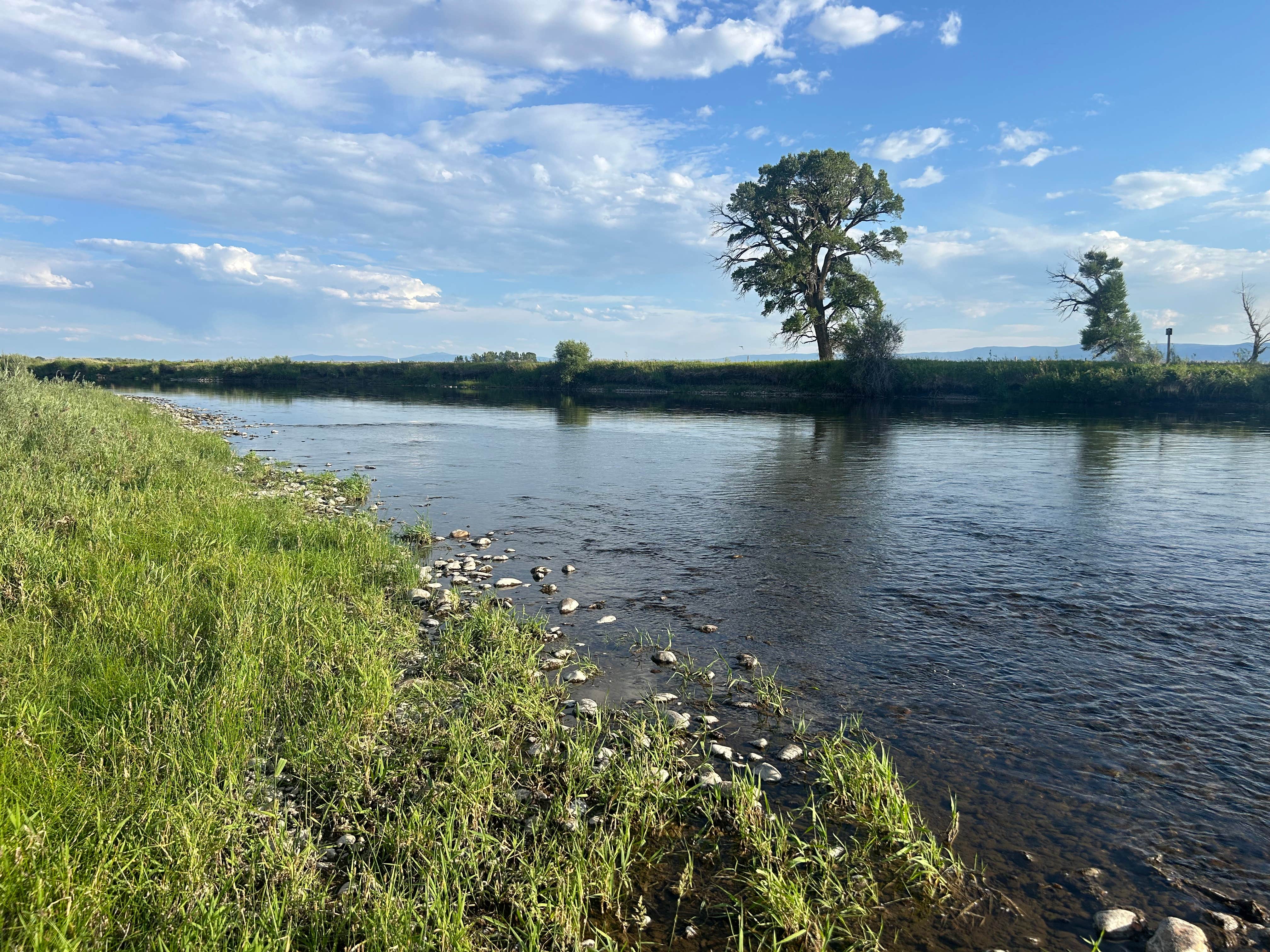 Chandelle S.'s photo of a dispersed camping area at Foote Public Access Area Dispersed near Rock River, WY