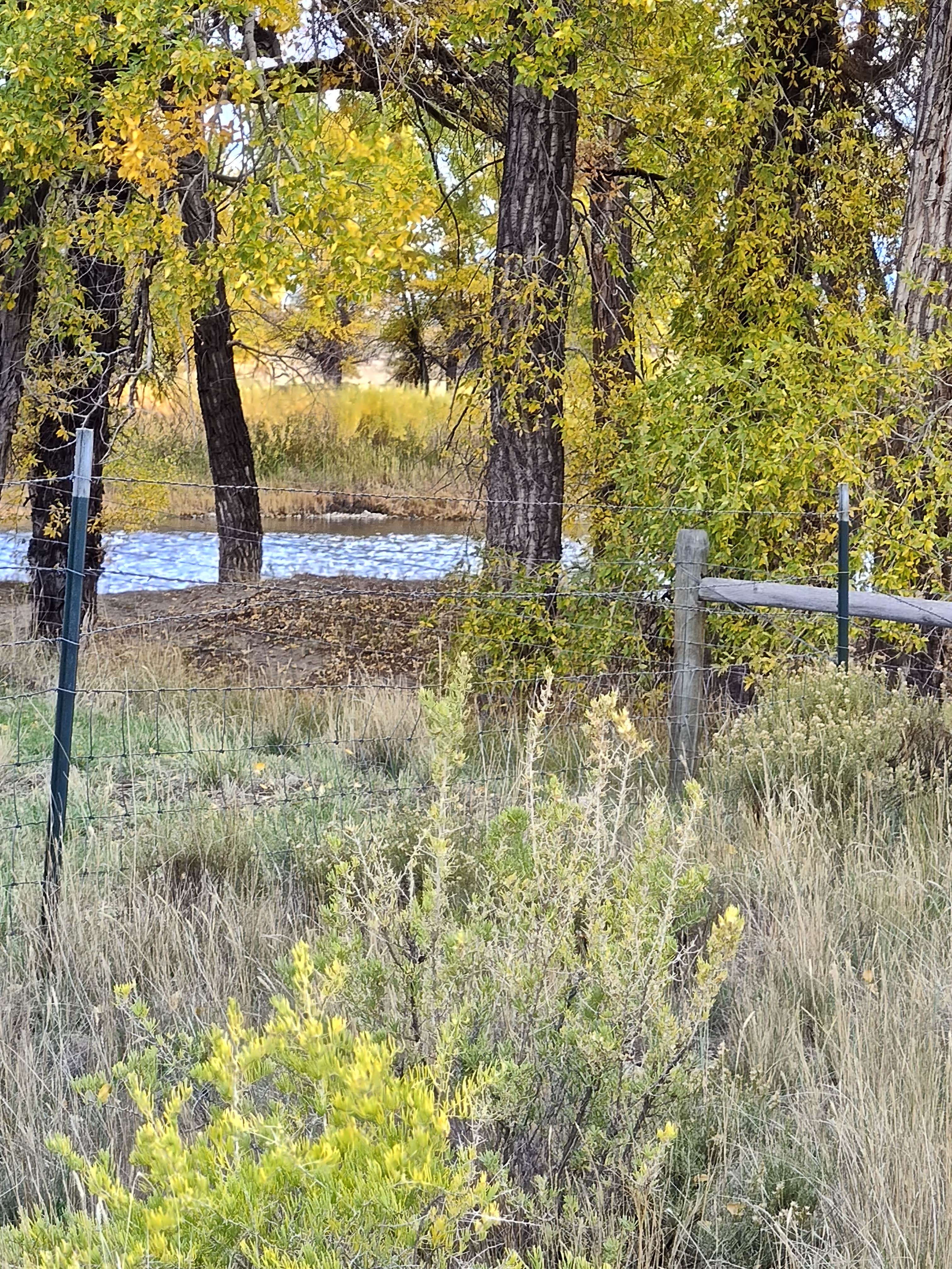 Camping near Sanger Public Access Area on North Platte River: Foote Public Access Area Dispersed, Saratoga, Wyoming
