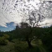 Review photo of Foothill Butterfly by Butterfly  R., September 18, 2026