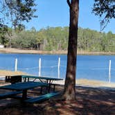 Review photo of Fore Lake Campground by Nancy B., January 27, 2026