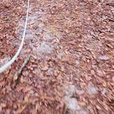 Review photo of Fore Lake Campground by PIXIE B., January 21, 2026