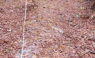 PIXIE B.'s photo of camping with pets at Fore Lake Campground near Welaka, FL