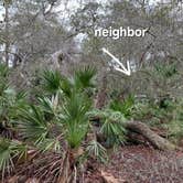 Review photo of Fore Lake Campground by Nancy B., January 27, 2026