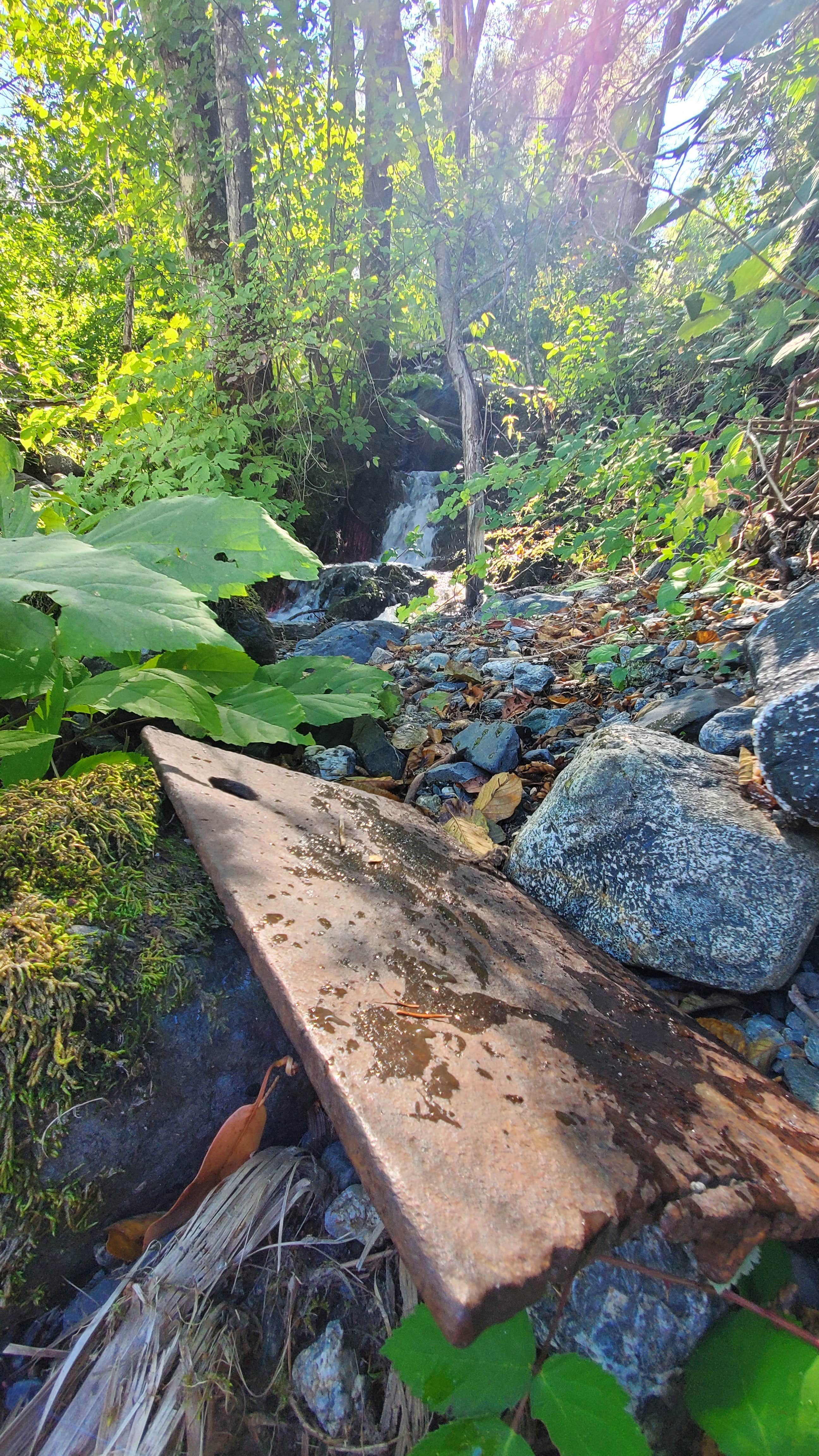 Camper submitted image from Forest Glen Guard Station - 4