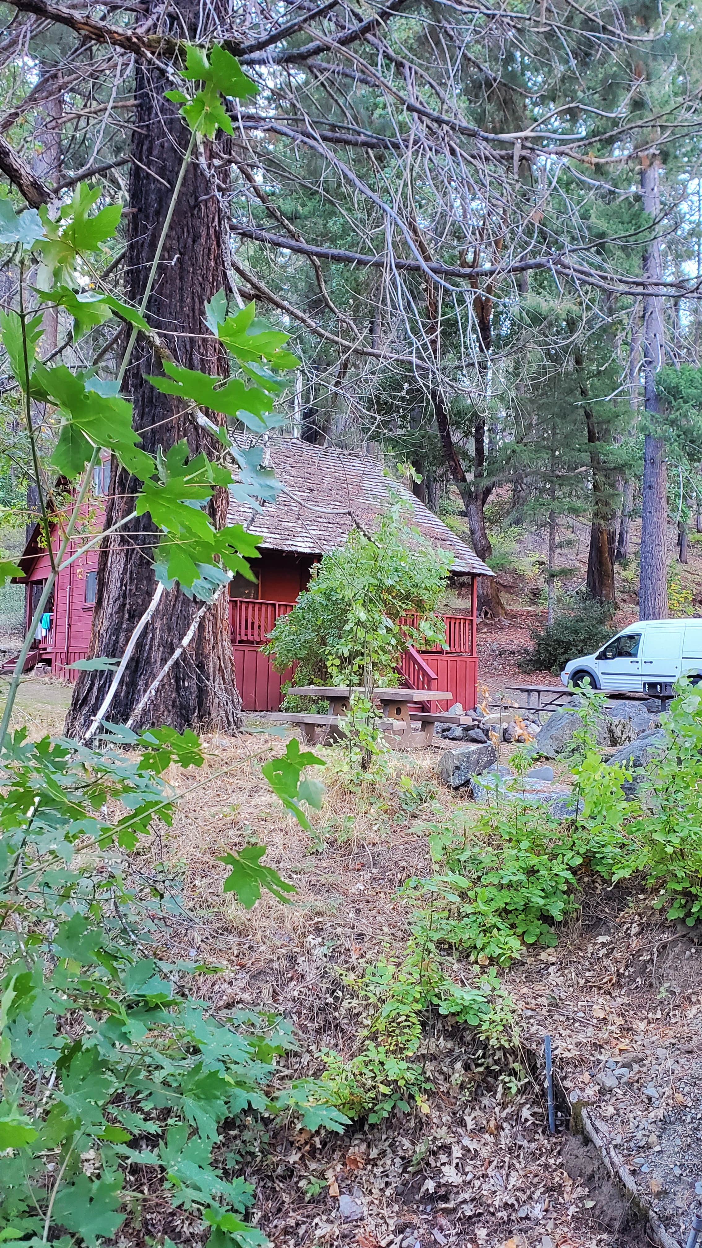 Bruce E.'s photo of a cabin at Forest Glen Guard Station near Hayfork, CA