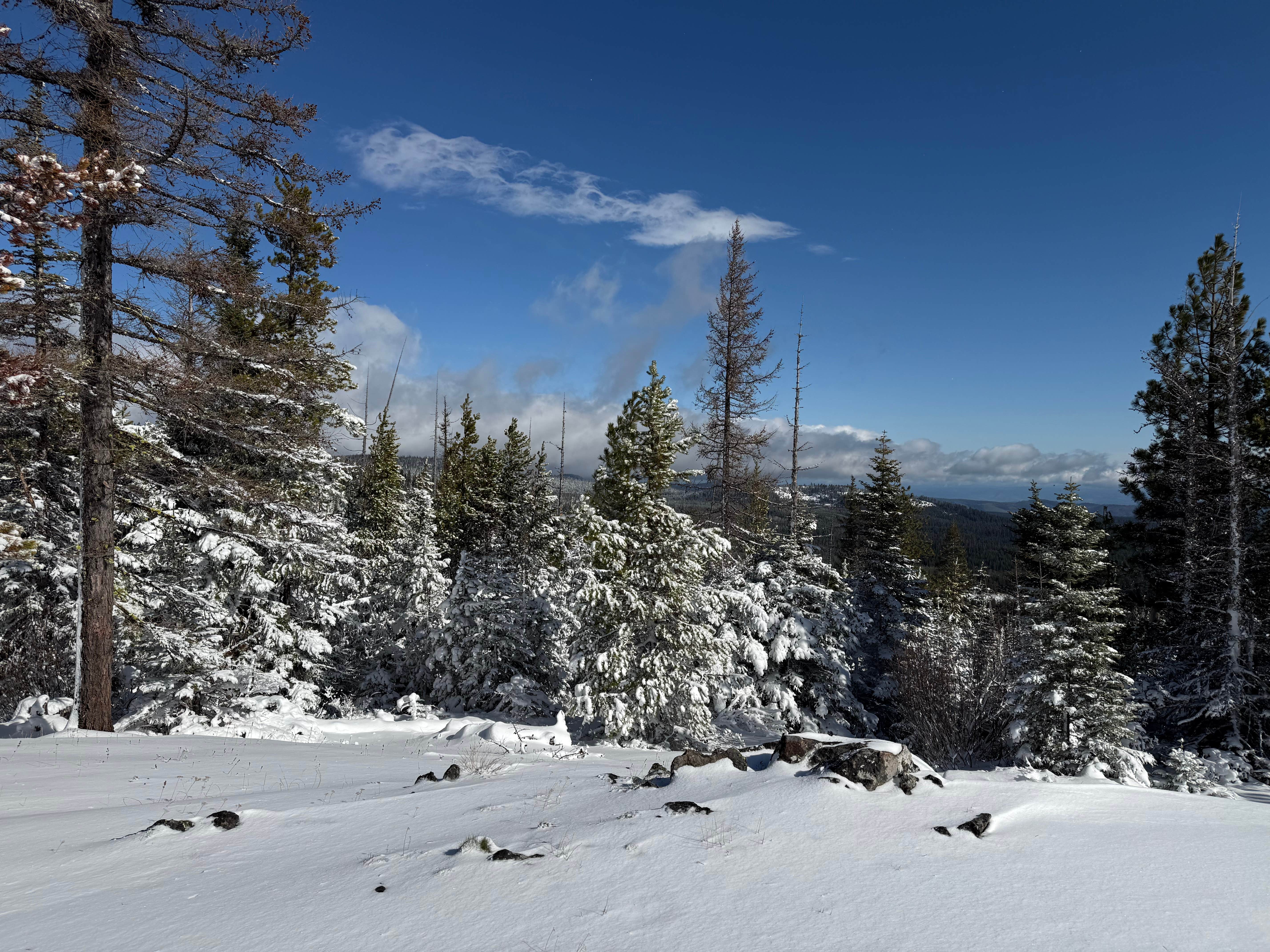 Camper-submitted photo at Forest Rd 2730 - Mt Hood NF near The Dalles, OR
