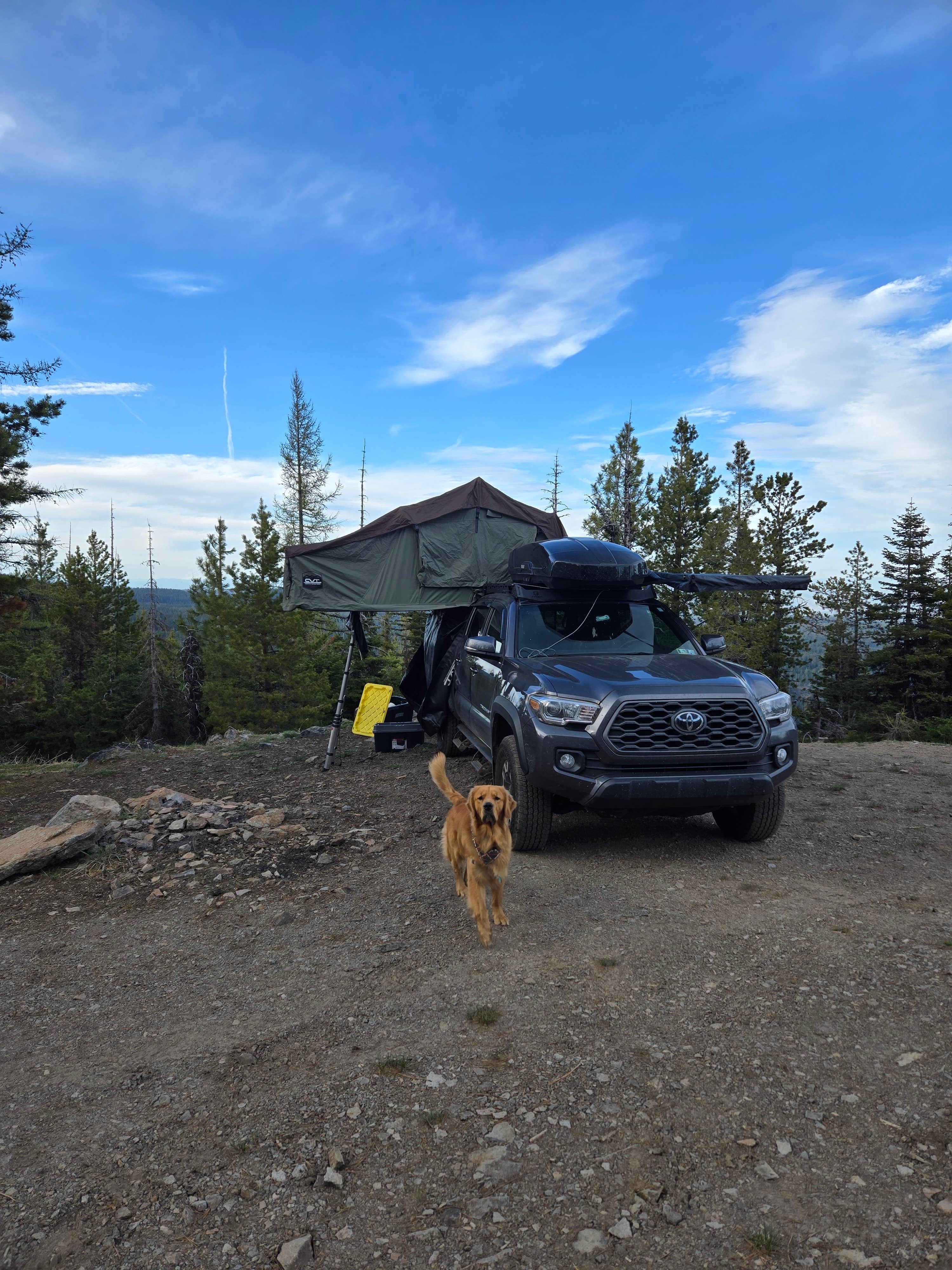 Brendan R.'s photo at Forest Rd 2730 - Mt Hood NF near Dufur, OR