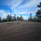 Review photo of Forest Rd 2730 - Mt Hood NF by Brendan R., May 11, 2025