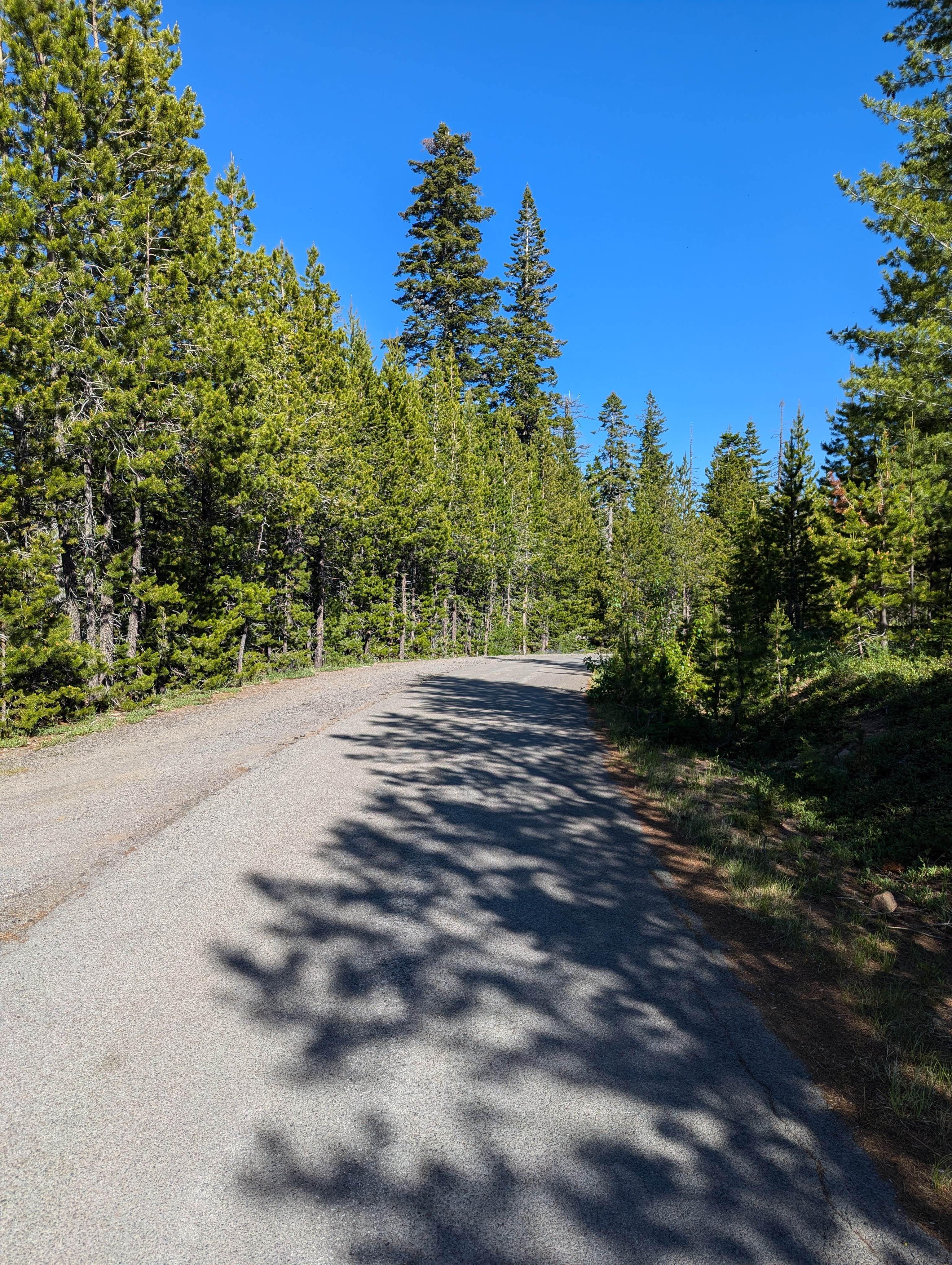 Camper submitted image from Forest Rd 2730 - Mt Hood NF - 3