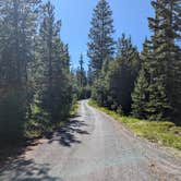 Review photo of Forest Rd 2730 - Mt Hood NF by Jason B., June 21, 2024