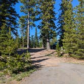 Review photo of Forest Rd 2730 - Mt Hood NF by Jason B., June 21, 2024