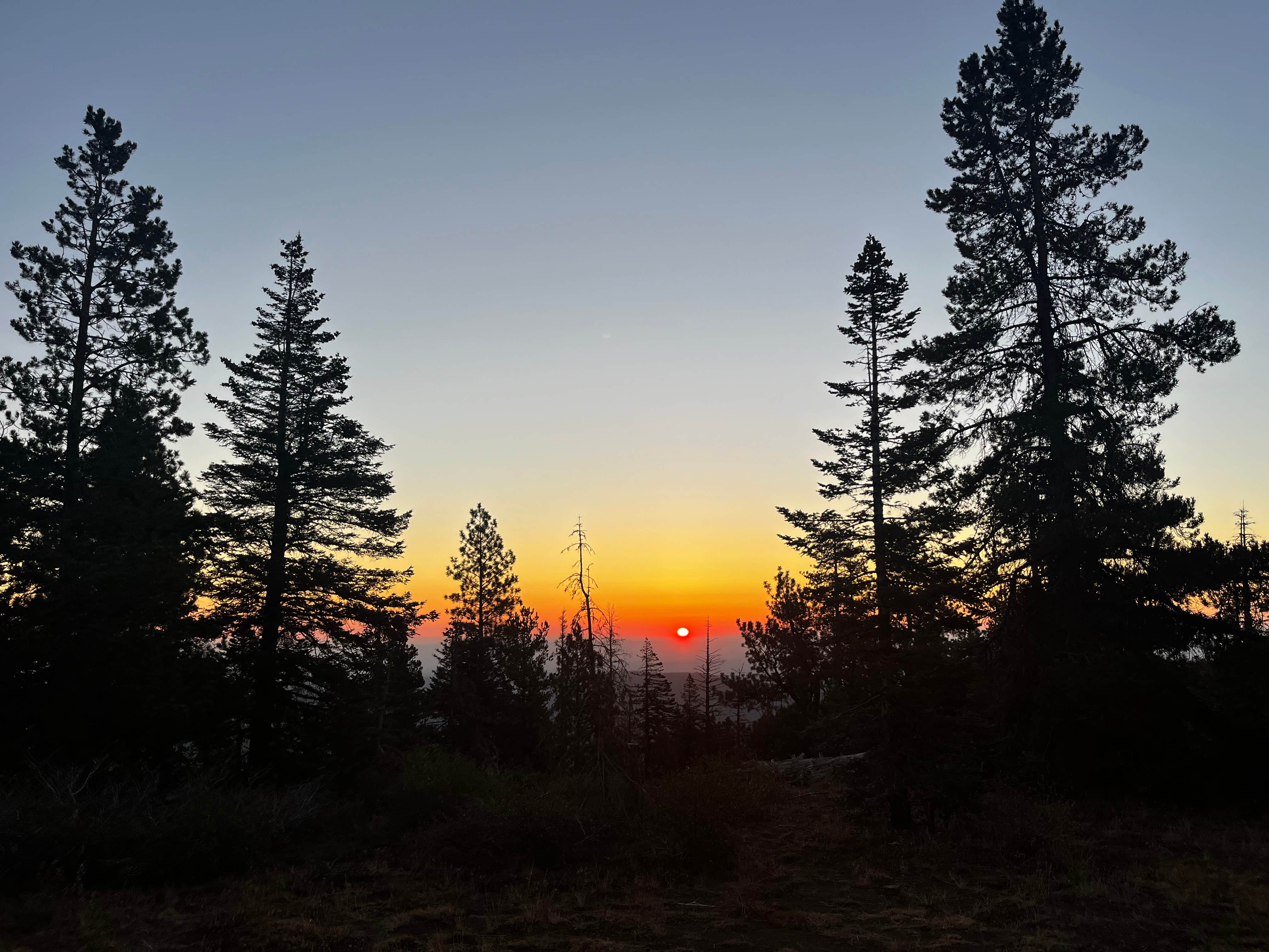 Camper-submitted photo at Forest Rd 2730 - Mt Hood NF near Hood River, OR