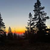 Review photo of Forest Rd 2730 - Mt Hood NF by Marasha L., September 18, 2025