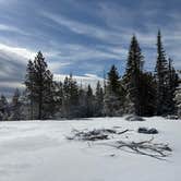 Review photo of Forest Rd 2730 - Mt Hood NF by Linda C., April 15, 2026