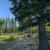 Review photo of Forest Rd 2730 - Mt Hood NF by Jason B., June 21, 2024