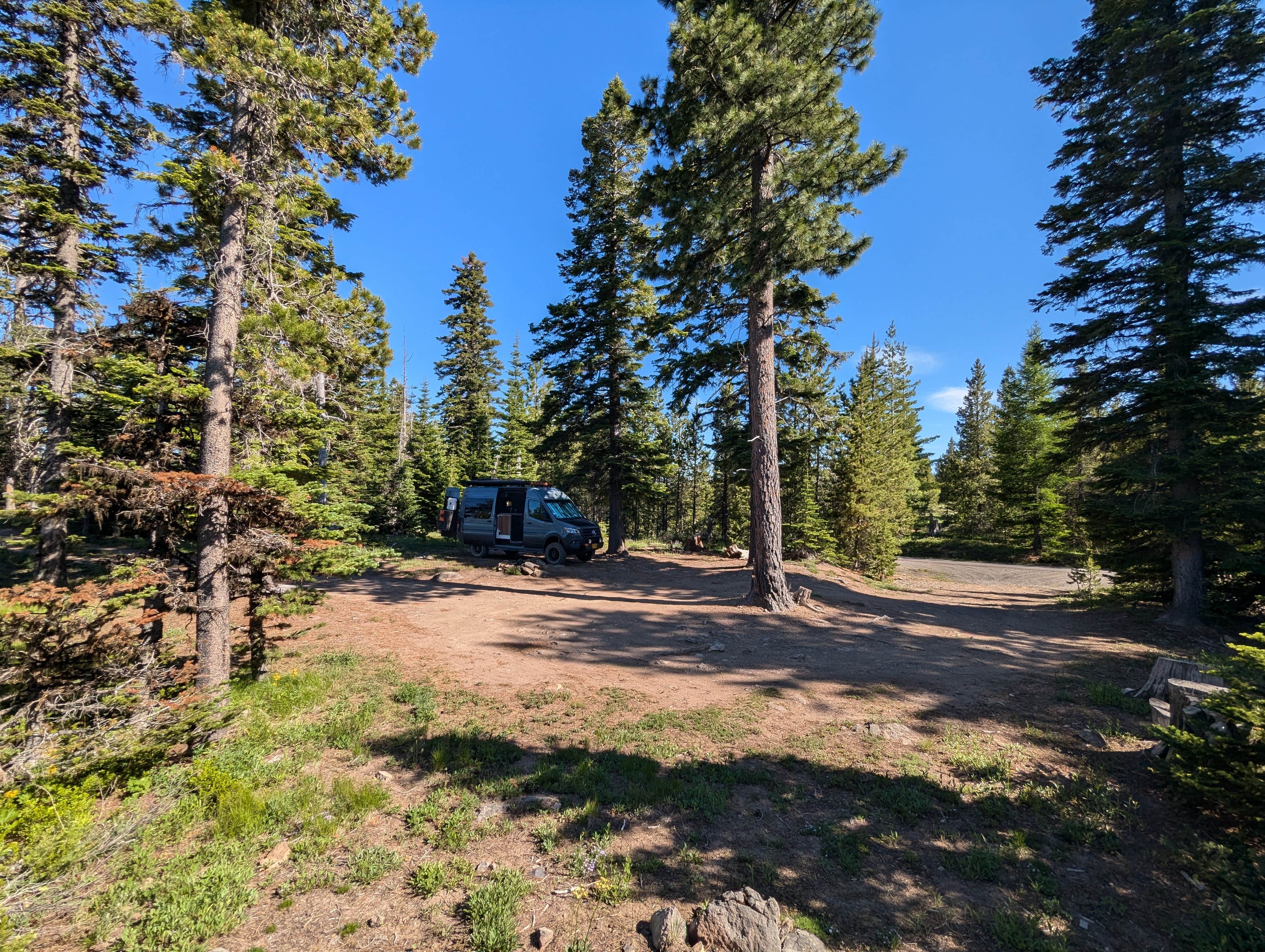 Camper submitted image from Forest Rd 2730 - Mt Hood NF - 2