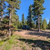 Review photo of Forest Rd 2730 - Mt Hood NF by Jason B., June 21, 2024