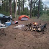 Review photo of Cocino National Forest - Rd. 535 by JUSTIN C., September 10, 2023