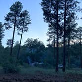 Review photo of Cocino National Forest - Rd. 535 by soph M., August 25, 2024