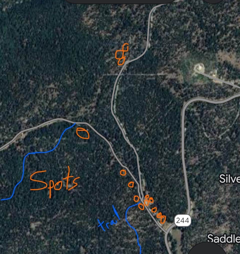 Camper-submitted photo at Forest Rd 568 Dispersed near Lincoln National Forest