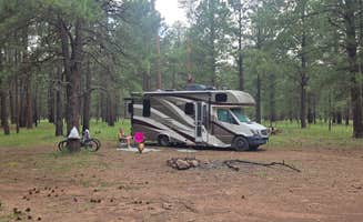 mark F.'s photo at Forest Rd 91 Dispersed near Mormon Lake, AZ