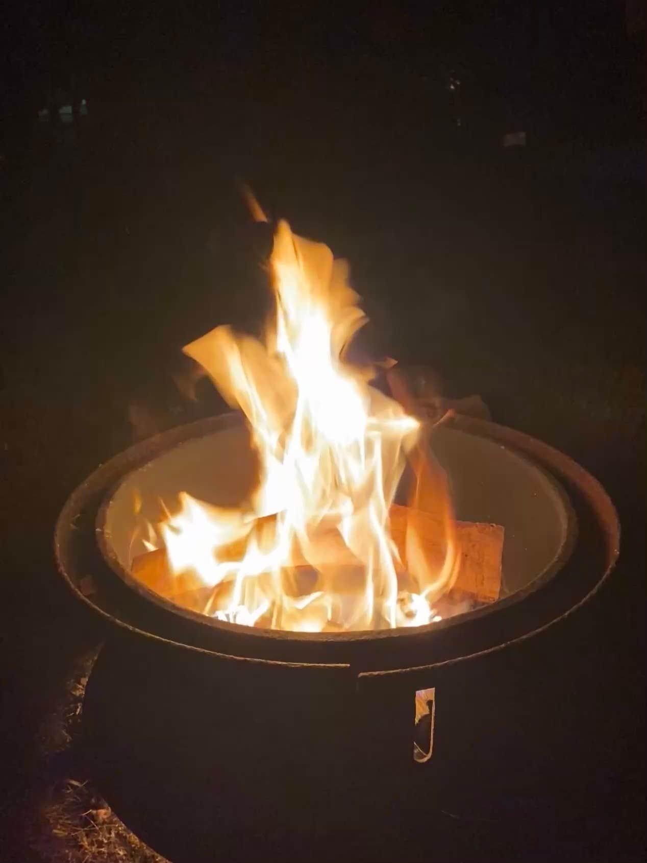 Camper submitted image from Forest Ridge Campground - 3