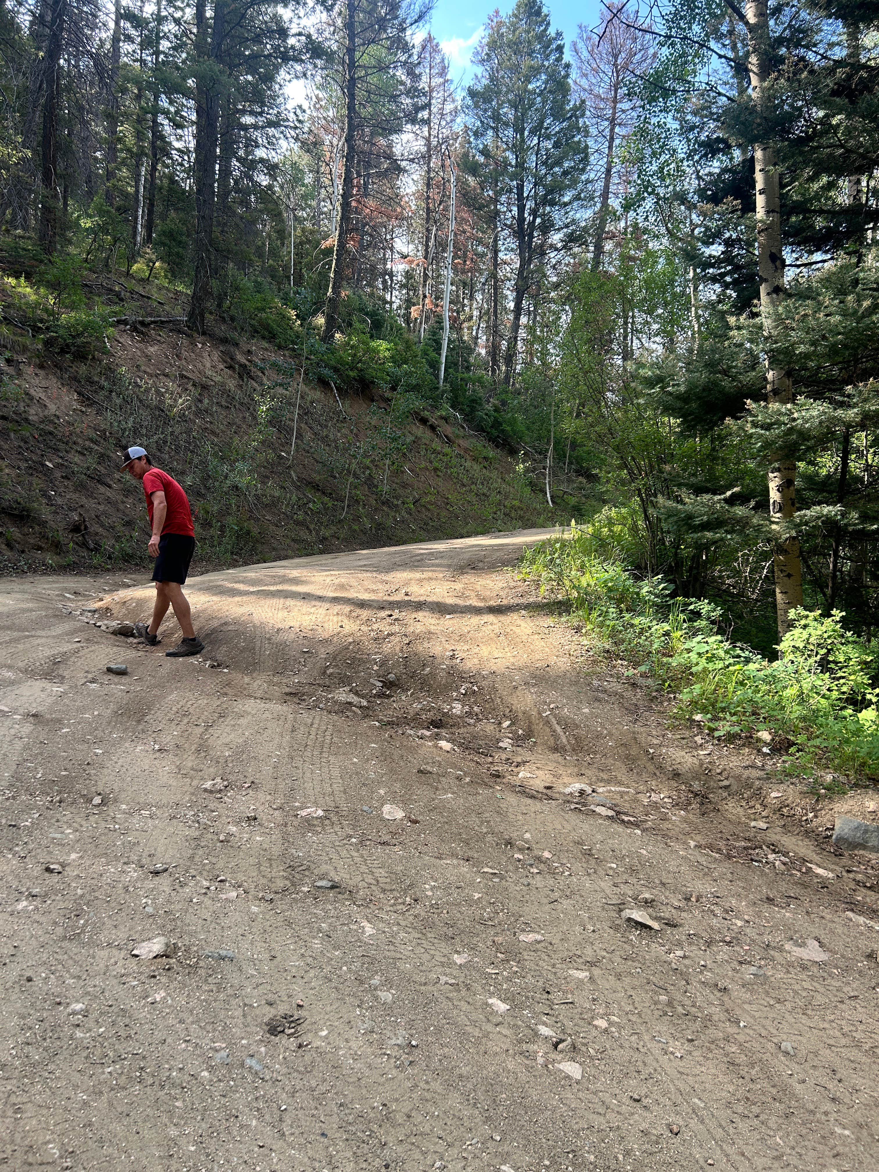 Camper-submitted photo at Forest Road 102 Dispersed near Lamy, NM