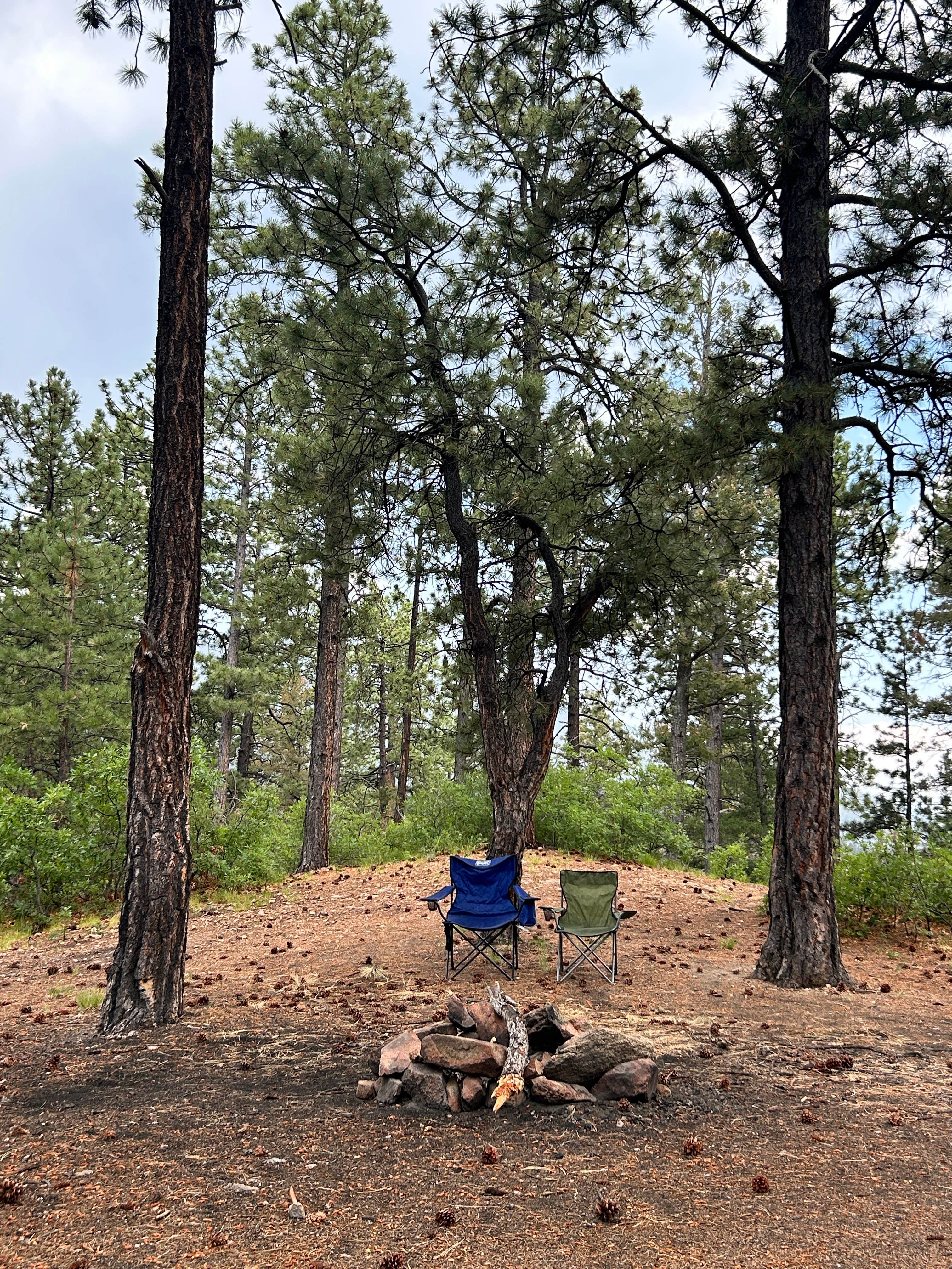 Stephanie D.'s photo at Forest Road 102 Dispersed near Eldorado at Santa Fe, NM
