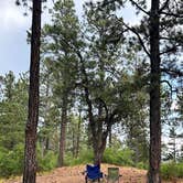 Review photo of Forest Road 102 Dispersed by Stephanie D., July 12, 2025