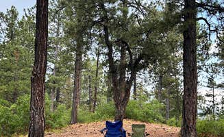 Stephanie D.'s photo at Forest Road 102 Dispersed near Tesuque, NM