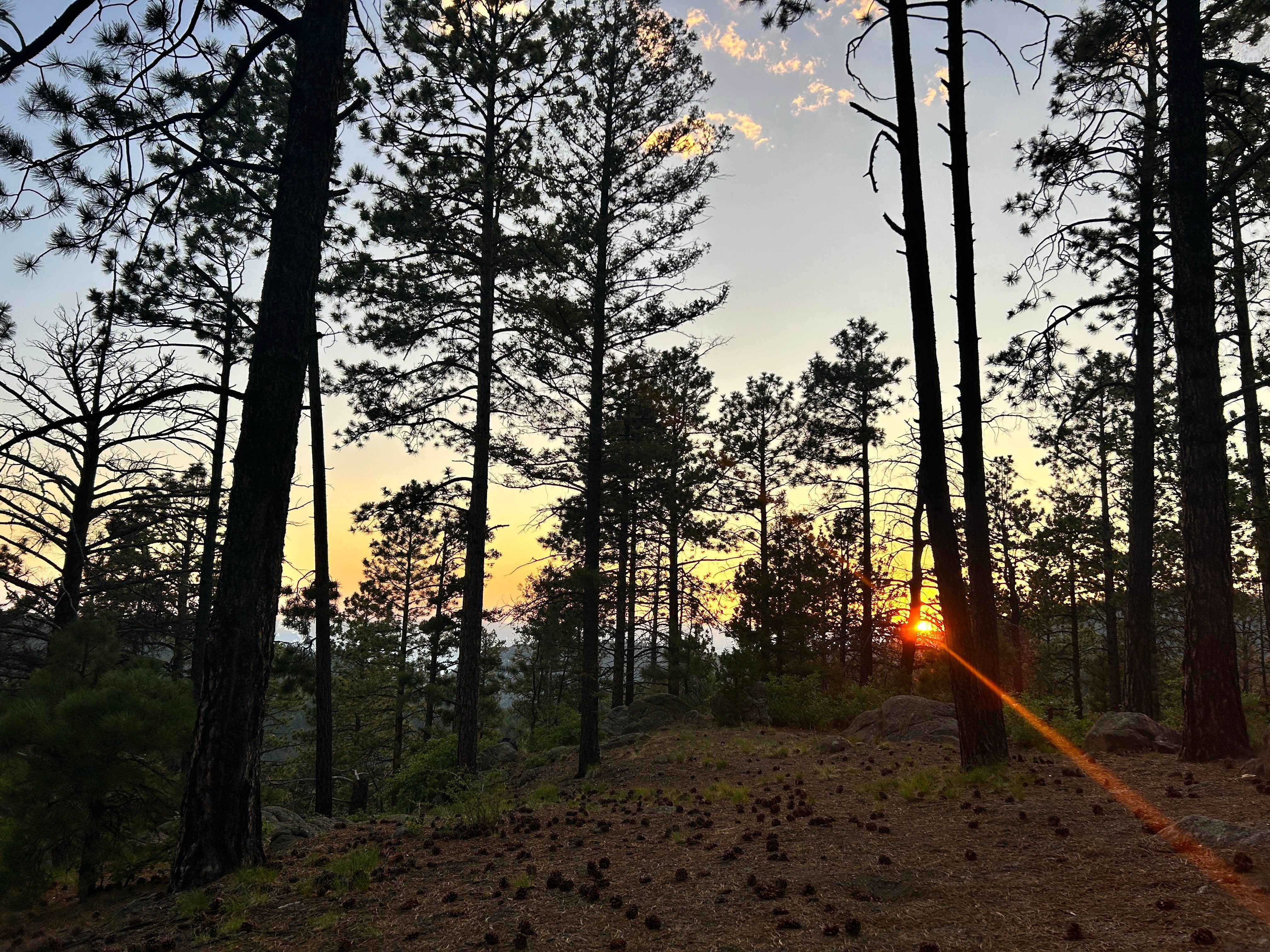 Stephanie D.'s photo of a dispersed camping area at Forest Road 102 Dispersed near Lamy, NM